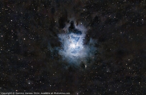 Iris Nebula Picture Board by Dominic Gareau