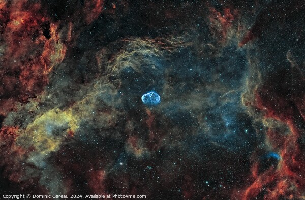 The Crescent Nebula Picture Board by Dominic Gareau
