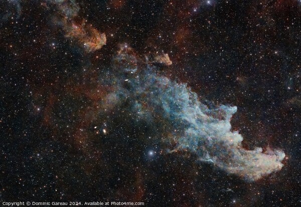 The Witch Head Nebula Picture Board by Dominic Gareau
