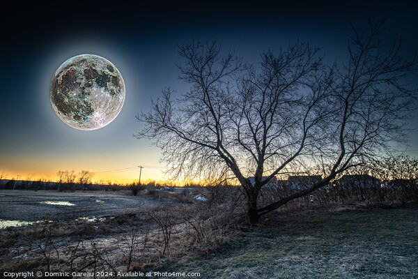 Full Moon At Sunrise Picture Board by Dominic Gareau