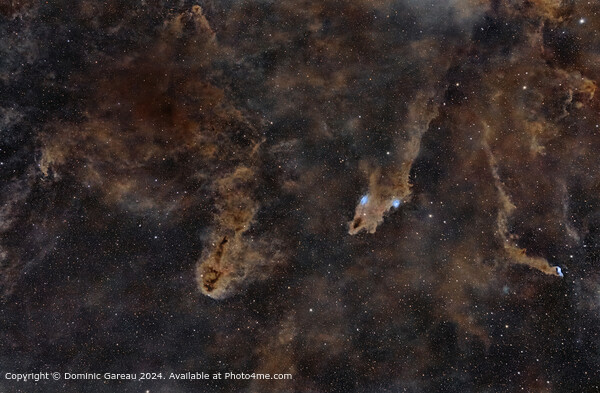 IFN Nebula Cepheus Dark Shark Picture Board by Dominic Gareau