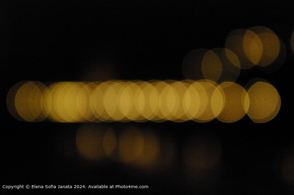 Ponte Vecchio Night Lights Picture Board by Elena Sofia Janata