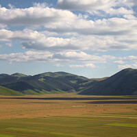 Blooming plateau