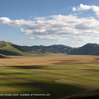 Castelluccio di Norcia Bloom