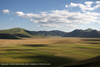 Click to show how this picture will look as a piece of wall art