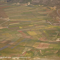 Castelluccio Di Norcia Plateau Landscape