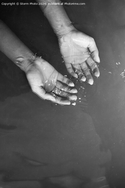 Monochrome hands in water Picture Board by Storm Photo