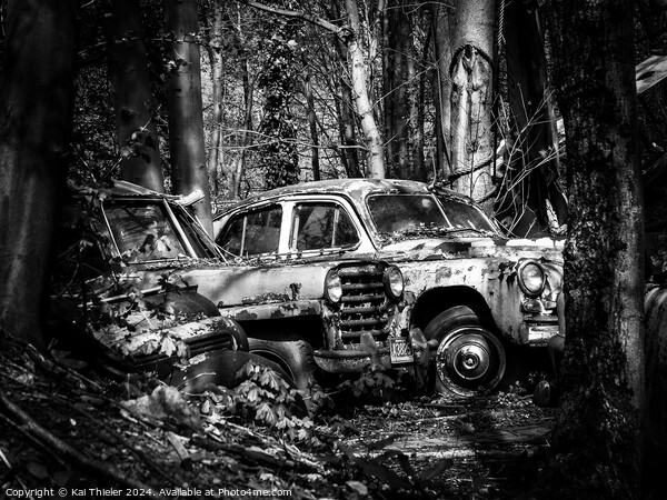 Old rusted car in the woods Picture Board by Kai Thieler