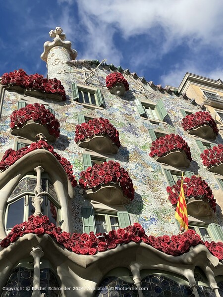 Gaudi Rose Balconies on Festival of Sant Jordi Picture Board by Rachel Schroeder