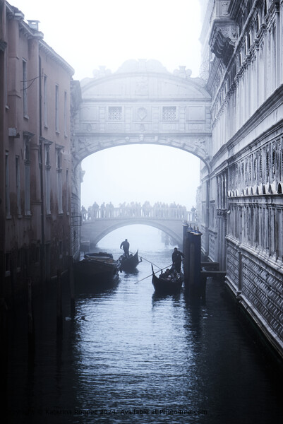 Venice Bridge of Sighs  Picture Board by Katerina Roupec
