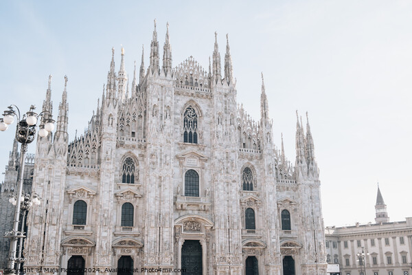 Milan Cathedral Picture Board by Maja Ficzere