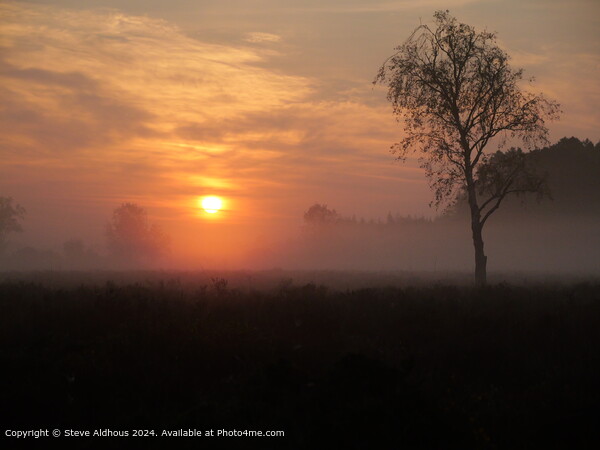 New Forest heathland sunrise  Picture Board by Steve Aldhous