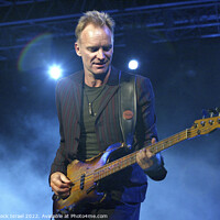 Buy canvas prints of Sting by PhotoStock Israel