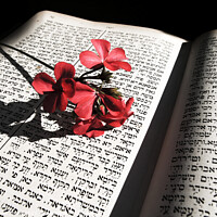 Buy canvas prints of Jewish religious book by PhotoStock Israel