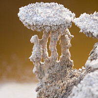 Buy canvas prints of Dead Sea salt formation  by PhotoStock Israel