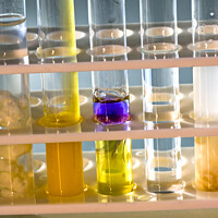 Buy canvas prints of Test tubes in a rack  by PhotoStock Israel