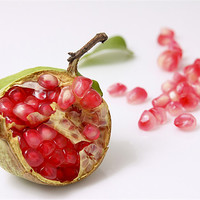 Buy canvas prints of Pomegranate by PhotoStock Israel