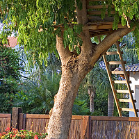 Buy canvas prints of Tree house by PhotoStock Israel