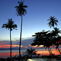 Buy canvas prints of palm trees at sun set Koh Phangan Thailand by PhotoStock Israel