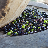 Buy canvas prints of Olives in stone press by PhotoStock Israel