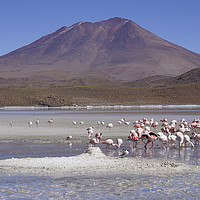 Buy canvas prints of Bolivia, Salar de Uyuni  by PhotoStock Israel