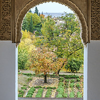 Buy canvas prints of Alhambra Palace, Granada, Spain by PhotoStock Israel