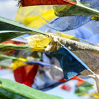 Buy canvas prints of Buddhist prayer flags by PhotoStock Israel