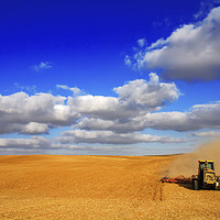 Buy canvas prints of wheat Harvesting by PhotoStock Israel
