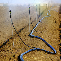 Buy canvas prints of Israel, Negev, watering fields with sprinklers by PhotoStock Israel