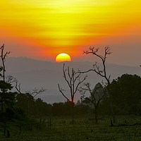 Buy canvas prints of  Kenya Sun set by PhotoStock Israel