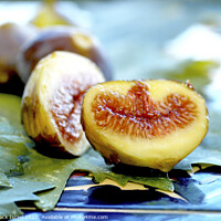 Buy canvas prints of Fresh ripe figs on  by PhotoStock Israel
