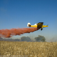Buy canvas prints of Forest fire Aircraft  by PhotoStock Israel