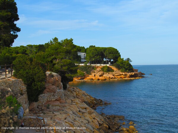 Spanish Coastal Landscape Serenity Picture Board by thomas macrae