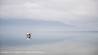 Click to show how this picture will look as a piece of wall art