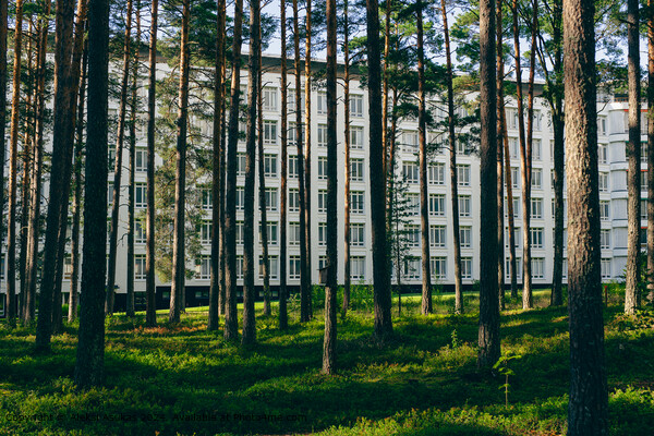 Alvar Aalto Paimio Sanatorium Picture Board by Aleksi Asukas