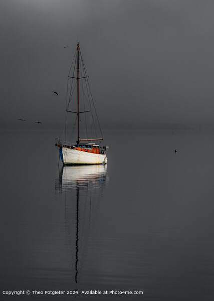 Serene Yacht on Knysna Lagoon Picture Board by Theo Potgieter