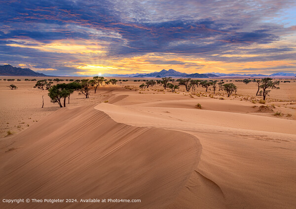 Namib Desert Sunrise Landscape Picture Board by Theo Potgieter