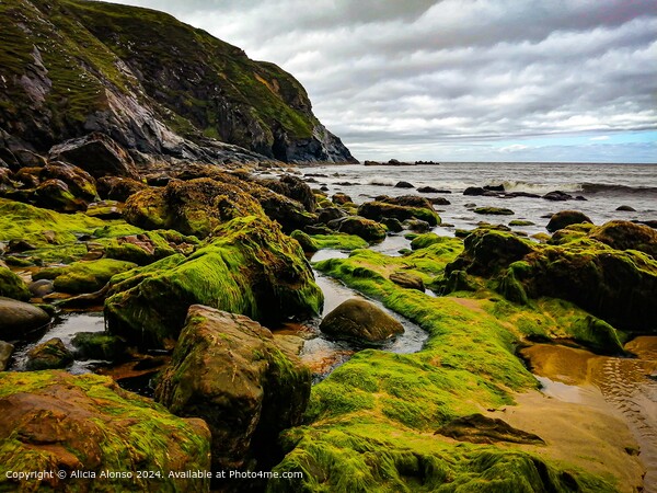 Wild Atlantic Way Glencolumbkille Ireland Landscape Picture Board by Alicia Alonso