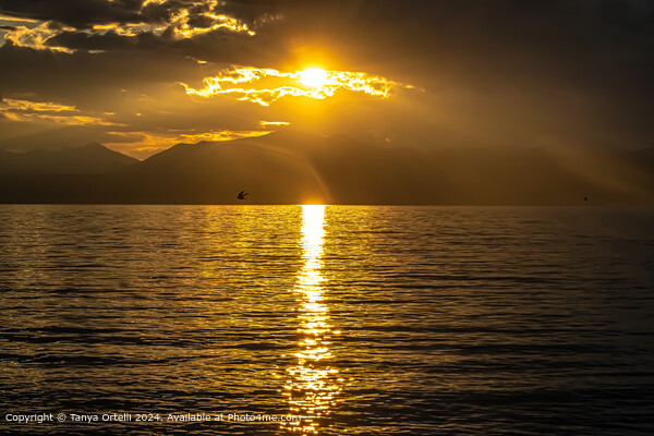 Garda Lake Sunset Picture Board by Tanya Ortelli