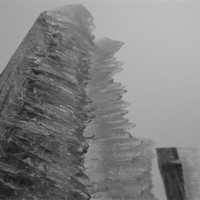 Buy canvas prints of Icicle Fence Black and White by James Lamont