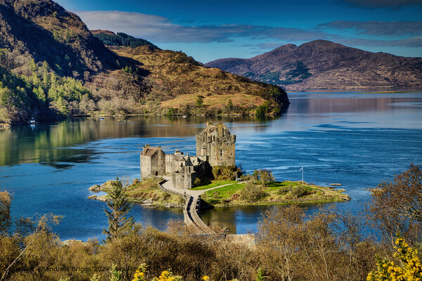 Eilean Donan Castle in the Highlands of Scotland Picture Board by Andrew Briggs