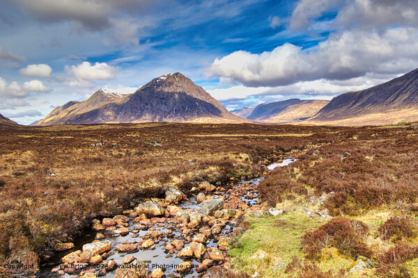Rannoch Moor in the Highlands of Scotland. Picture Board by Andrew Briggs