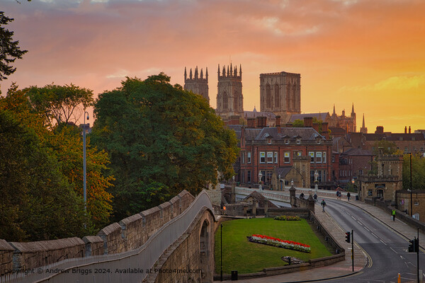 City of York sunrise. Picture Board by Andrew Briggs