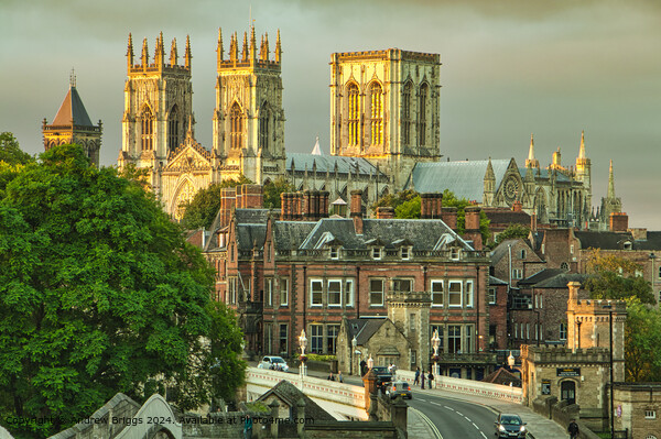 The ancient city of York and York Minster. Picture Board by Andrew Briggs