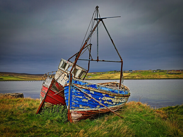 Rustic Fishing Boats on Unst Shetland Picture Board by Andrew Briggs