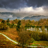 Tarn Hows Misty Landscape in the Lake District