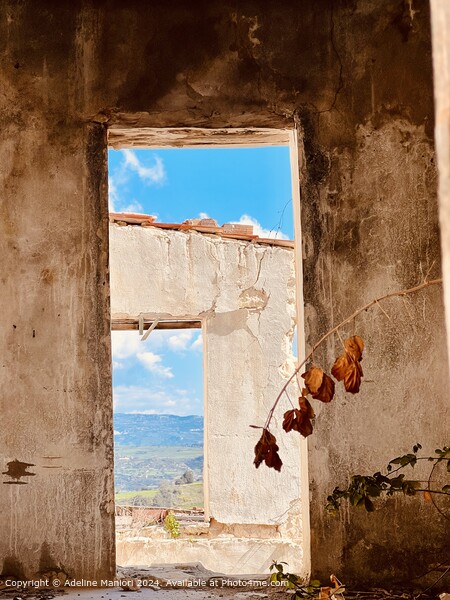 Abandoned village house in Cyprus. Picture Board by Adeline Maniori