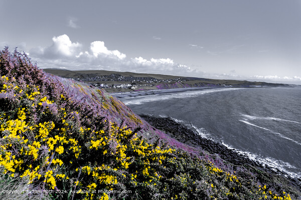 St Bees Colorful Wildflowers Picture Board by Tom Roth