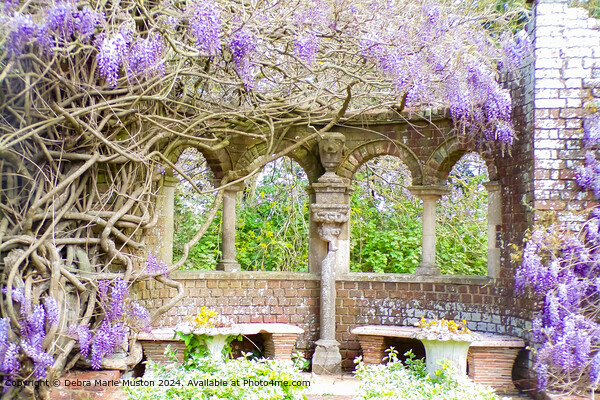 Serene Wisteria Garden Arch Picture Board by Debra Marie Muston