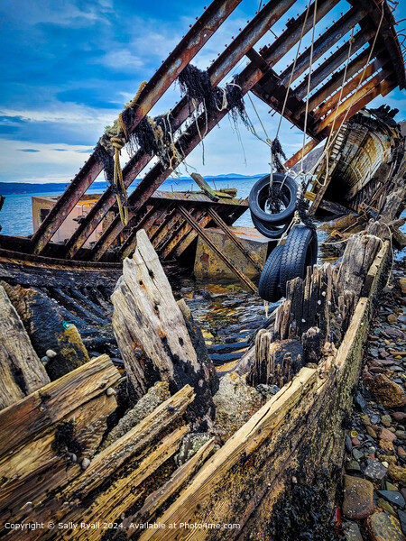 Rusty Shipwreck Scotland Picture Board by Sally Ryall